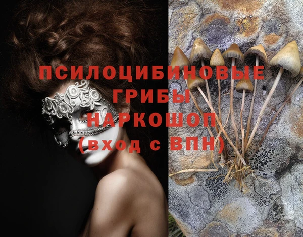 кокс Беслан