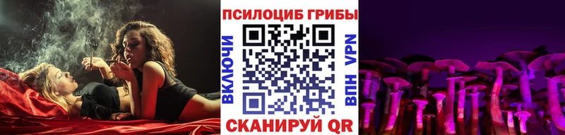 Псилоцибиновые грибы Magic Shrooms  blacksprut tor  Гурьевск 