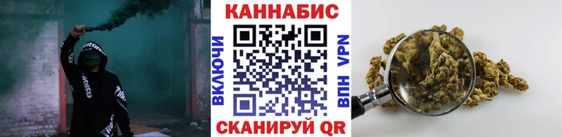 Конопля гибрид Гурьевск